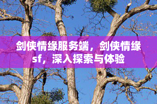 剑侠情缘服务端,剑侠情缘sf,深入探索与体验 剑侠情缘服务端,剑侠情缘sf,深入探索与体验