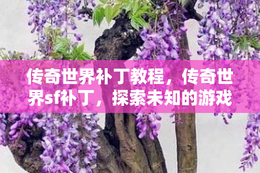 传奇世界补丁教程,传奇世界sf补丁,探索未知的游戏世界 传奇世界补丁教程,传奇世界sf补丁,探索未知的游戏世界