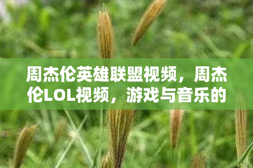 游戏与音乐的完美融合图片