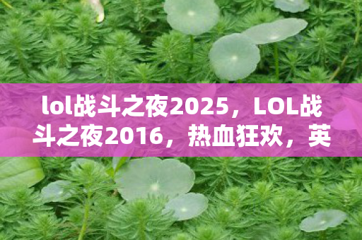 lol战斗之夜2025图片