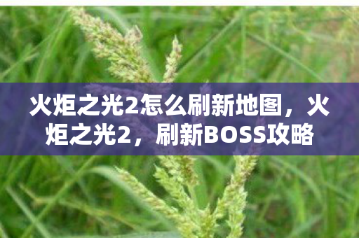 火炬之光2怎么刷新地图图片