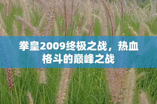 拳皇2009终极之战图片