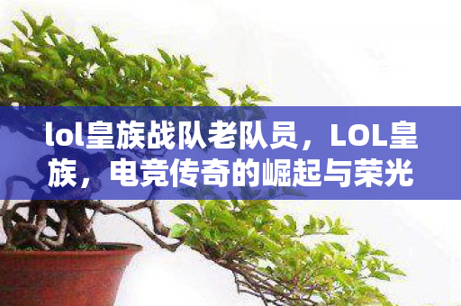lol皇族战队老队员,LOL皇族,电竞传奇的崛起与荣光 lol皇族战队老队员,LOL皇族,电竞传奇的崛起与荣光