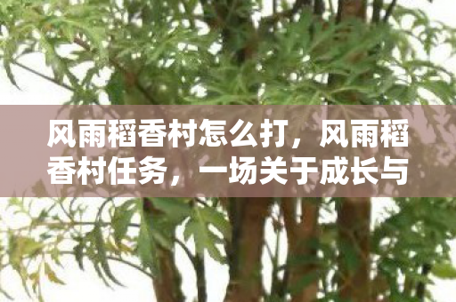 风雨稻香村怎么打,风雨稻香村任务,一场关于成长与坚持的旅程 风雨稻香村怎么打,风雨稻香村任务,一场关于成长与坚持的旅程
