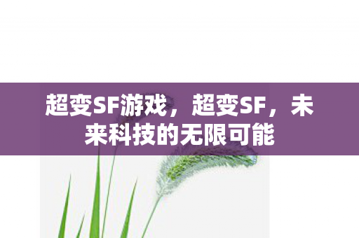 超变SF游戏,超变SF,未来科技的无限可能 超变SF游戏,超变SF,未来科技的无限可能