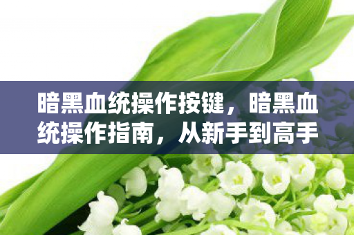 暗黑血统操作按键,暗黑血统操作指南,从新手到高手的全面解析 暗黑血统操作按键,暗黑血统操作指南,从新手到高手的全面解析