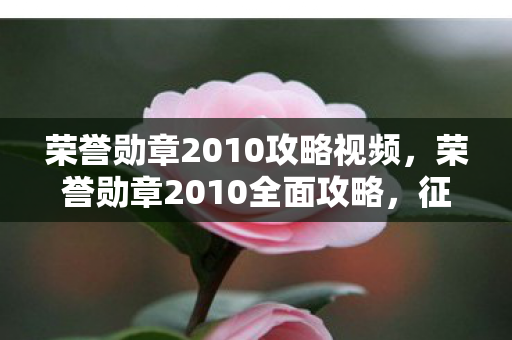 荣誉勋章2010攻略视频图片