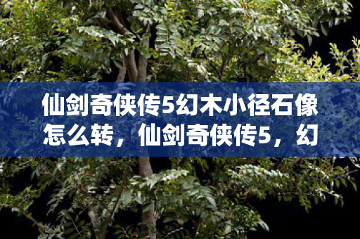 仙剑奇侠传5幻木小径石像怎么转图片