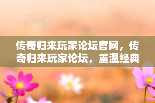 传奇归来玩家论坛官网图片