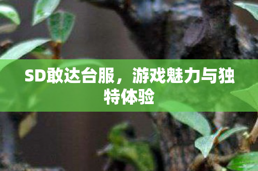 游戏魅力与独特体验图片
