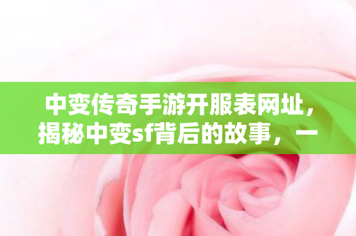 一场游戏世界的探索与挑战图片