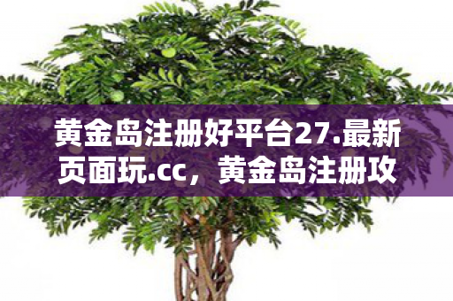 黄金岛注册攻略及体验分享图片