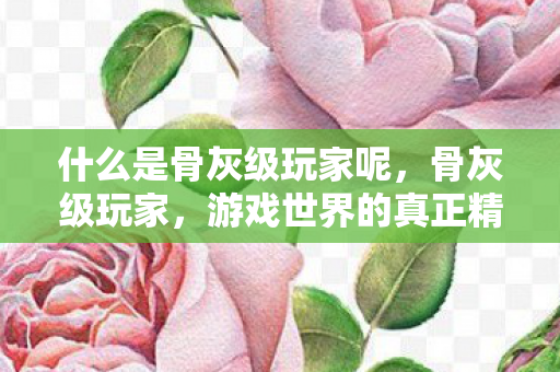 什么是骨灰级玩家呢图片