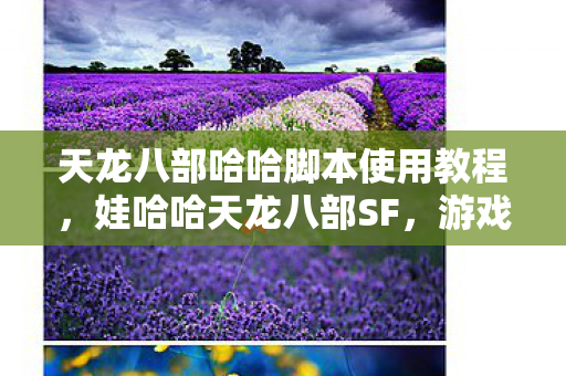 天龙八部哈哈脚本使用教程图片