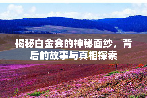揭秘白金会的神秘面纱,背后的故事与真相探索 揭秘白金会的神秘面纱,背后的故事与真相探索