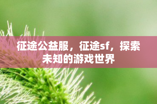征途公益服,征途sf,探索未知的游戏世界 征途公益服,征途sf,探索未知的游戏世界