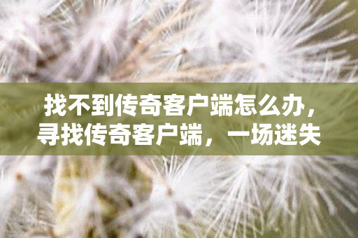 找不到传奇客户端怎么办,寻找传奇客户端,一场迷失与寻找的旅程 找不到传奇客户端怎么办,寻找传奇客户端,一场迷失与寻找的旅程