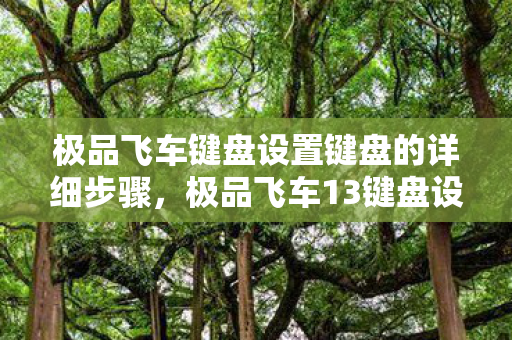 极品飞车键盘设置键盘的详细步骤,极品飞车13键盘设置攻略 极品飞车键盘设置键盘的详细步骤,极品飞车13键盘设置攻略