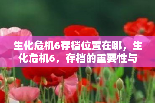 生化危机6存档位置在哪,生化危机6,存档的重要性与攻略 生化危机6存档位置在哪,生化危机6,存档的重要性与攻略