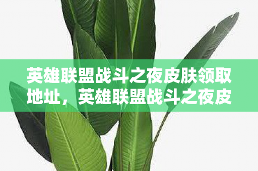 英雄联盟战斗之夜皮肤领取地址,英雄联盟战斗之夜皮肤领取攻略 英雄联盟战斗之夜皮肤领取地址,英雄联盟战斗之夜皮肤领取攻略