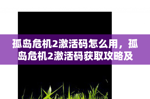 孤岛危机2激活码怎么用，孤岛危机2激活码获取攻略及游戏深度体验分享