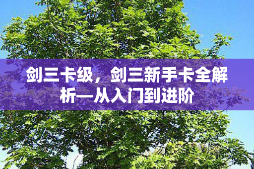 剑三卡级,剑三新手卡全解析—从入门到进阶 剑三卡级,剑三新手卡全解析—从入门到进阶