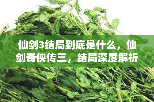 仙剑3结局到底是什么图片