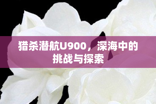 深海中的挑战与探索图片
