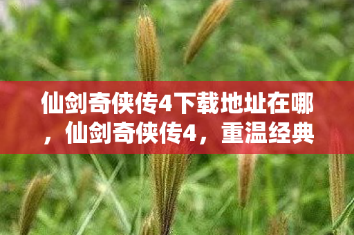 仙剑奇侠传4下载地址在哪图片