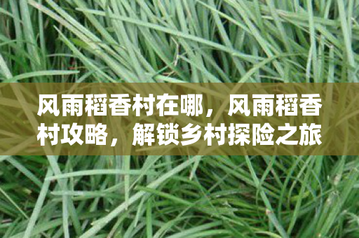 解锁乡村探险之旅的秘诀图片