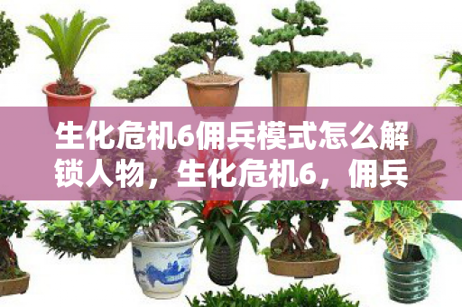 生化危机6佣兵模式怎么解锁人物,生化危机6,佣兵模式的深度探索 生化危机6佣兵模式怎么解锁人物,生化危机6,佣兵模式的深度探索