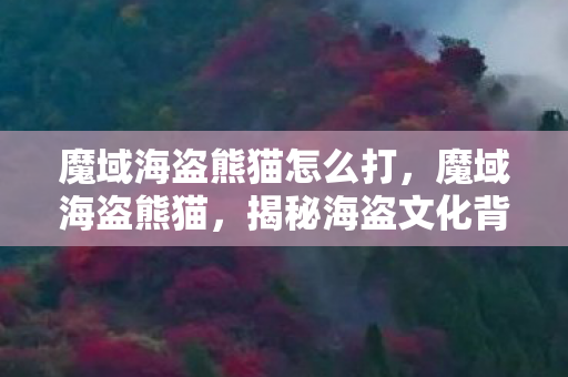 揭秘海盗文化背后的故事图片