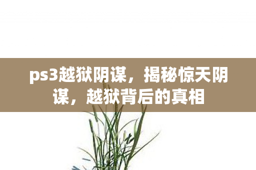 ps3越狱阴谋图片