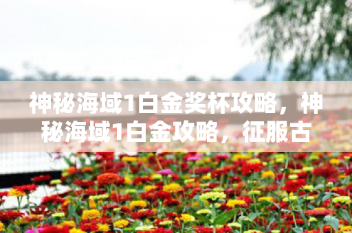 神秘海域1白金奖杯攻略图片