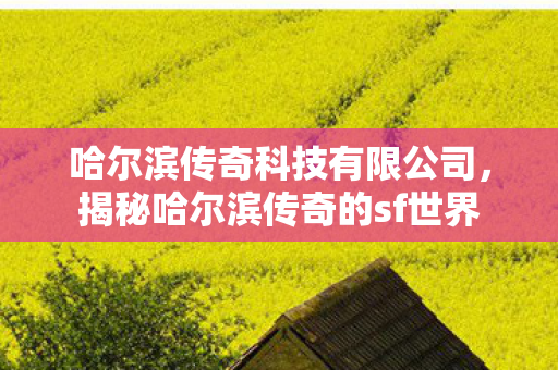 揭秘哈尔滨传奇的sf世界图片