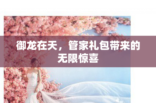 管家礼包带来的无限惊喜图片