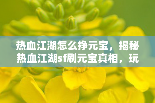 热血江湖怎么挣元宝,揭秘热血江湖sf刷元宝真相,玩家必看攻略! 热血江湖怎么挣元宝,揭秘热血江湖sf刷元宝真相,玩家必看攻略!