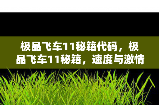 极品飞车11秘籍代码,极品飞车11秘籍,速度与激情的无限可能 极品飞车11秘籍代码,极品飞车11秘籍,速度与激情的无限可能