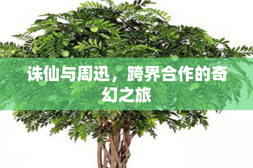 跨界合作的奇幻之旅图片