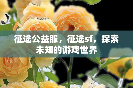 探索未知的游戏世界图片