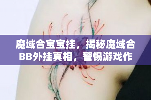 魔域合宝宝挂,揭秘魔域合BB外挂真相,警惕游戏作弊风险 魔域合宝宝挂,揭秘魔域合BB外挂真相,警惕游戏作弊风险