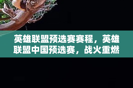 英雄联盟预选赛赛程,英雄联盟中国预选赛,战火重燃,谁将成为荣耀王者? 英雄联盟预选赛赛程,英雄联盟中国预选赛,战火重燃,谁将成为荣耀王者?