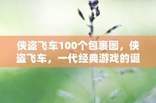 侠盗飞车100个包裹图,侠盗飞车,一代经典游戏的诞生与影响 侠盗飞车100个包裹图,侠盗飞车,一代经典游戏的诞生与影响