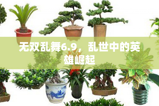 乱世中的英雄崛起图片
