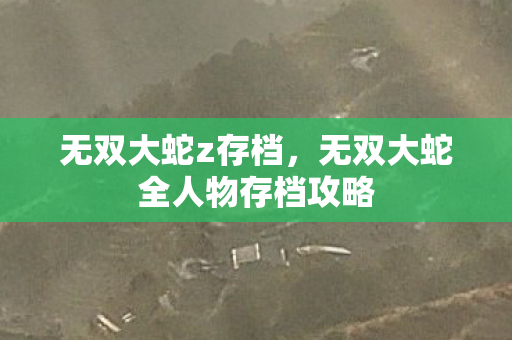 无双大蛇全人物存档攻略图片