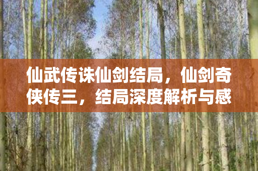 结局深度解析与感悟图片