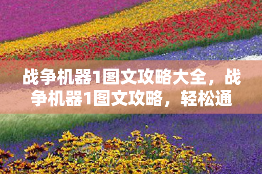 战争机器1图文攻略大全图片