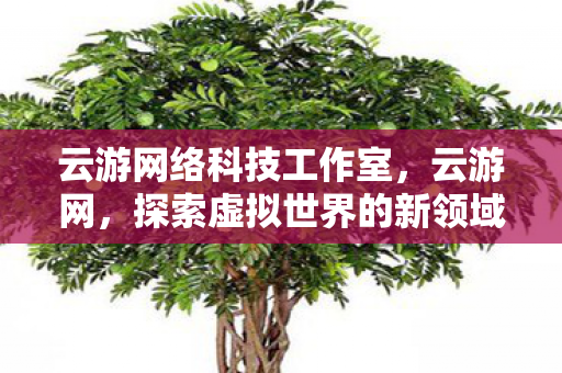 云游网络科技工作室,云游网,探索虚拟世界的新领域 云游网络科技工作室,云游网,探索虚拟世界的新领域