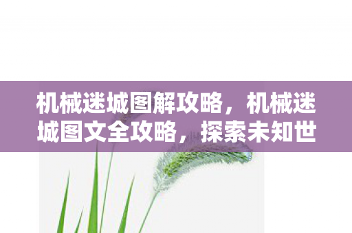 机械迷城图解攻略,机械迷城图文全攻略,探索未知世界的冒险之旅 机械迷城图解攻略,机械迷城图文全攻略,探索未知世界的冒险之旅