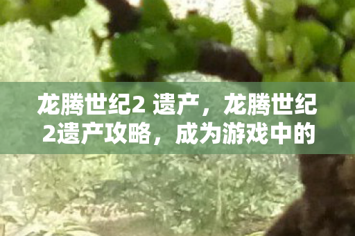 龙腾世纪2 遗产,龙腾世纪2遗产攻略,成为游戏中的佼佼者 龙腾世纪2 遗产,龙腾世纪2遗产攻略,成为游戏中的佼佼者